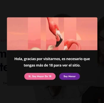 Age Gate EZ para WordPress – Plugin de Verificación de Edad y Control de Acceso - Imagen 4